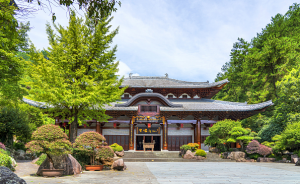 根宮佛國(guó)文化旅游景區(qū) 根宮佛國(guó)文化旅游景區(qū)